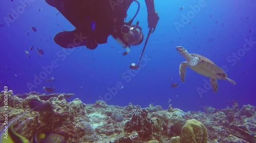 Turtle Chasing Diver Papua New Guinea