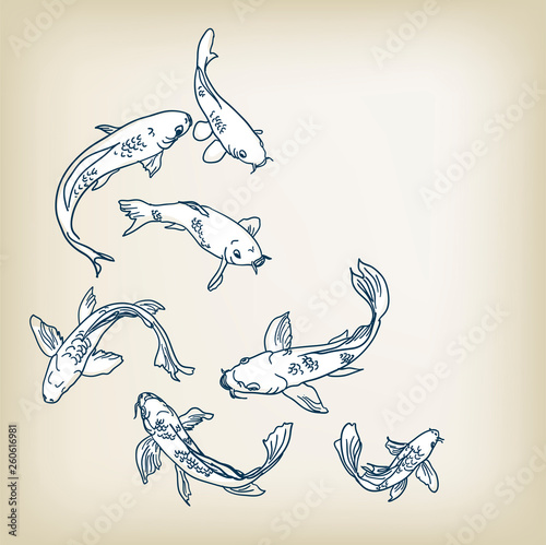 carp koi vector illustration set sketch design elements