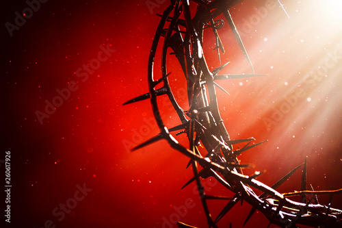Φωτογραφία Crown of Thorns an emblem of Christ's passion