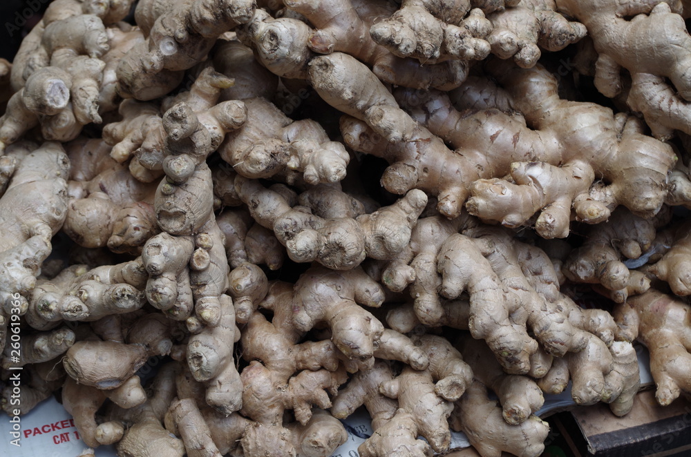 GINGER GINGER