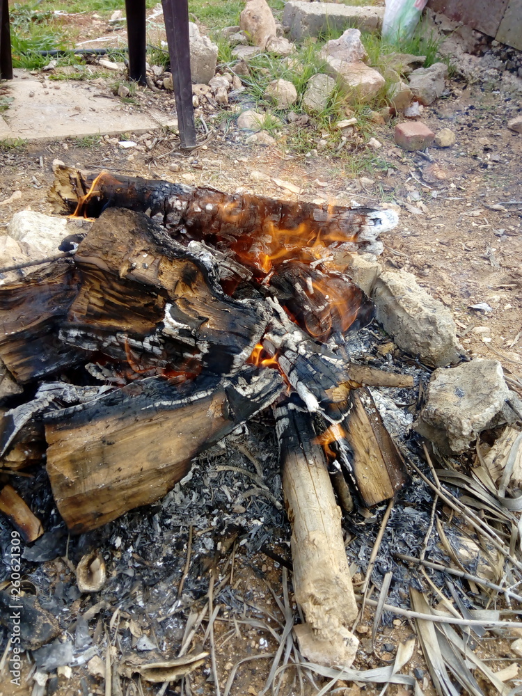 Fototapeta premium All-focus