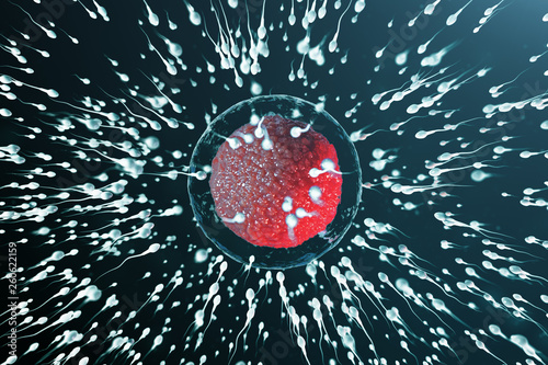 Εκτύπωση καμβά 3D illustration sperm and egg cell, ovum