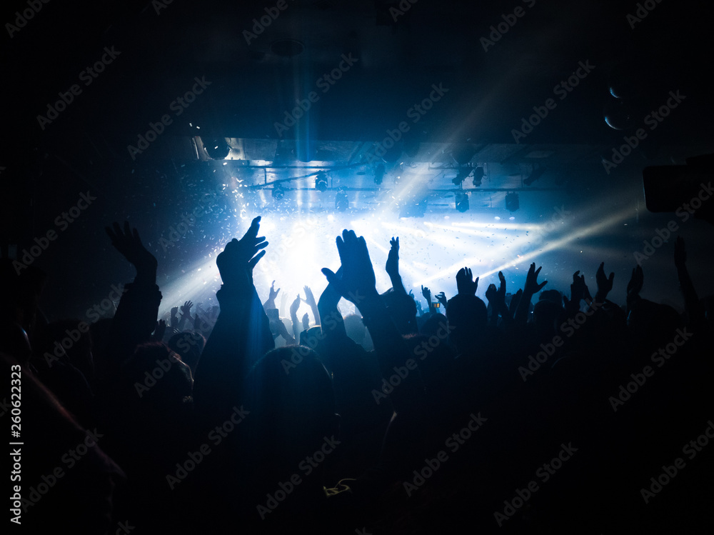 A crowd of people raising their arms up during a concert. They are enjoying the music