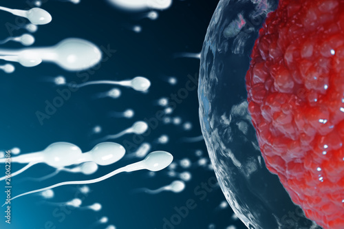 3D illustration sperm and egg cell, ovum. Sperm approaching egg cell. Native and natural fertilization. Conception the beginning of a new life. Ovum with red core under the microscope, movement sperm