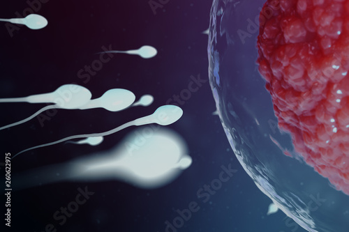 3D illustration sperm and egg cell, ovum. Sperm approaching egg cell. Native and natural fertilization. Conception the beginning of a new life. Ovum with red core under the microscope, movement sperm
