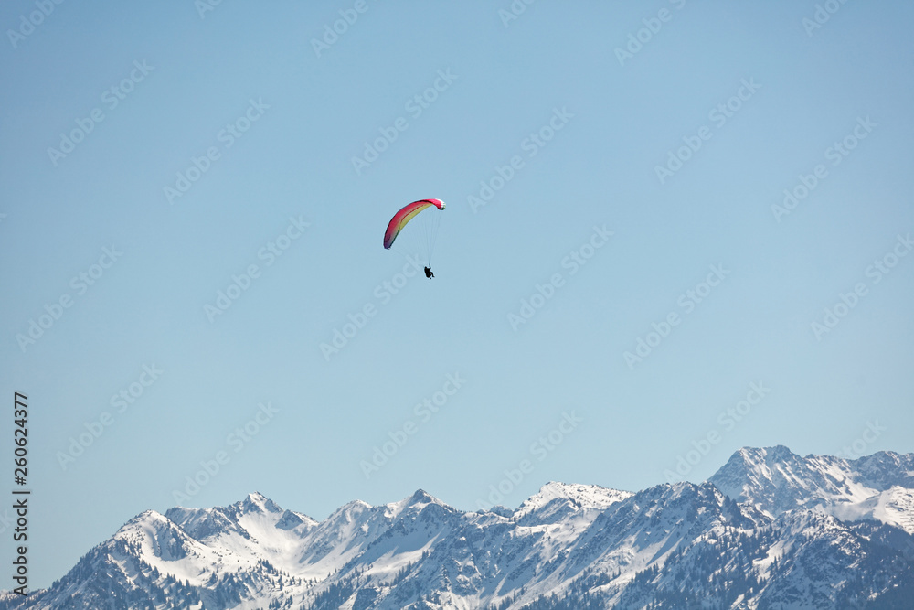 Paraglider flying over Bregenzerwald forest Paraglider flying over Bregenzerwald forest