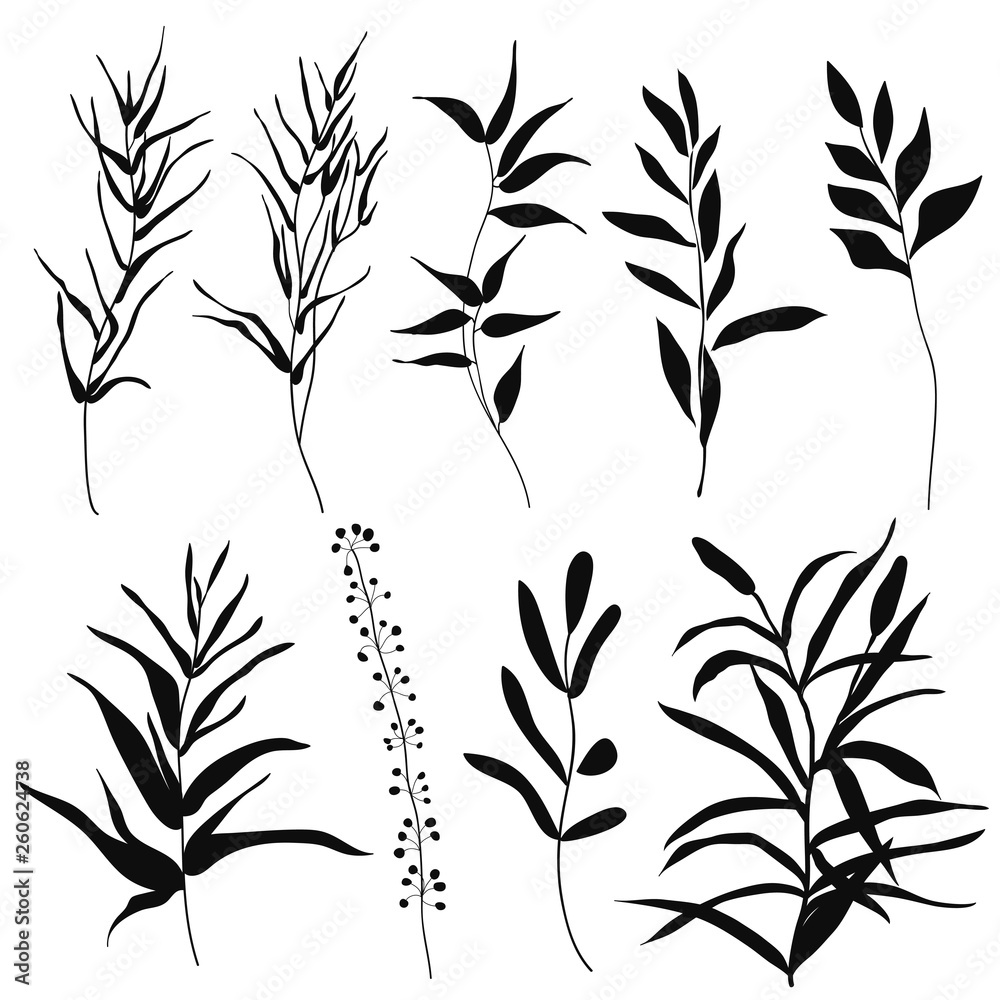 Naklejka premium Set silhouettes botanic elements. Branches with leaves, herbs, wild plants, trees. Garden and exotic, tropical collection leaf, foliage, branches. Vector illustration isolated on white background