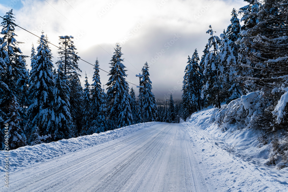 Snow covered road in winter forest