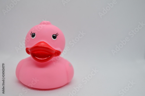 rubber duck on white background