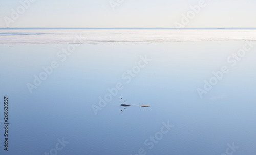 Gulf of finland at sunny day. © konstan