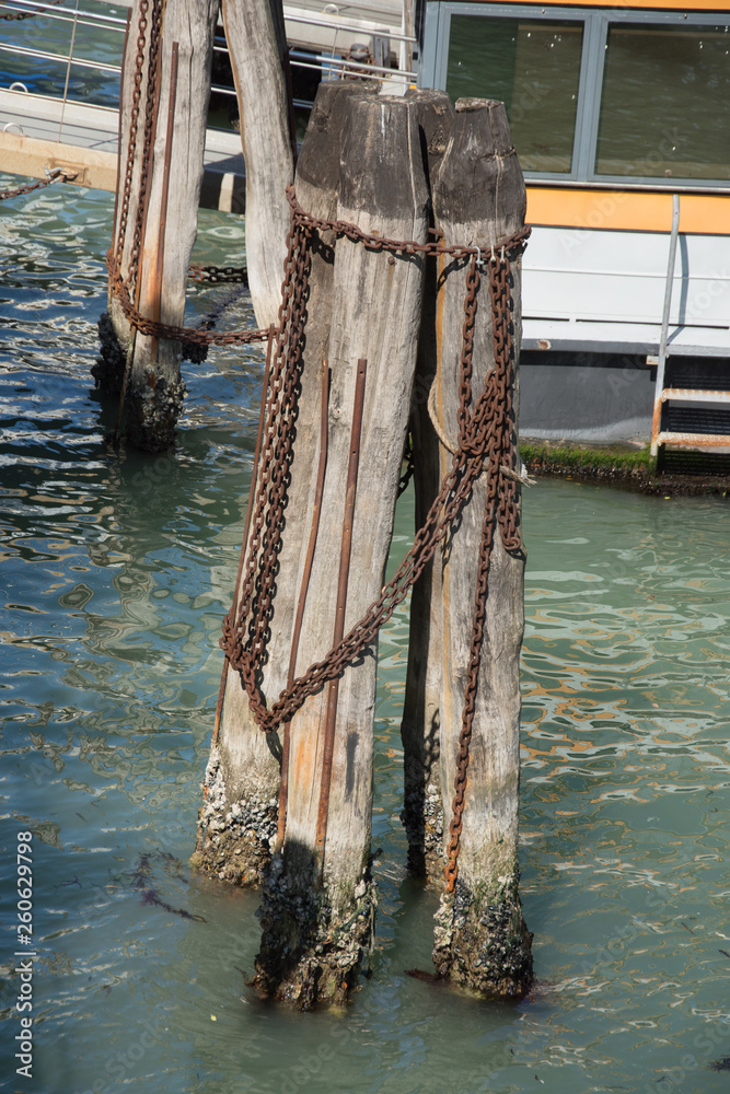 Fototapeta premium Wooden bricole ,wooden poles in the water, Venice, Italy,2019