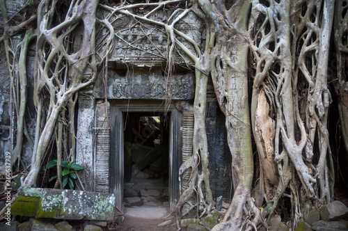 Ta Prohm Temple ( Siem Reap region, Cambodia)