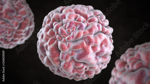3D illustration of norovirus virus