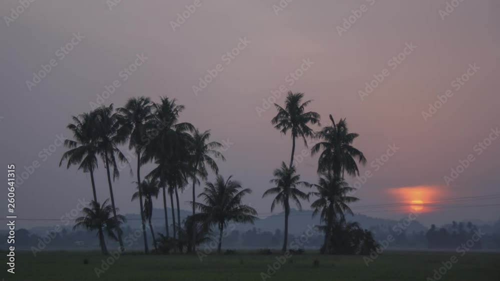 Timelapse sun rise from the horizon of coconut trees. Timelapse sun rise from the horizon of coconut trees.