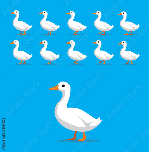 Animal Animation Sequence White Duck Cartoon Vector