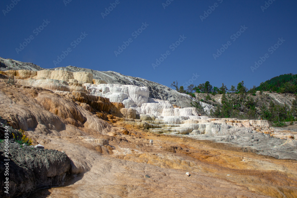 Travertine terraces at Mammoth Hot Springs in Yellowstone National Park