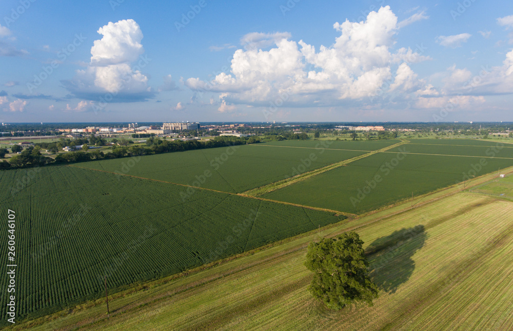Farm Land Aerial View Farm Land Aerial View