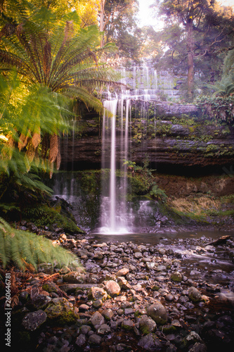 waterfall in forest