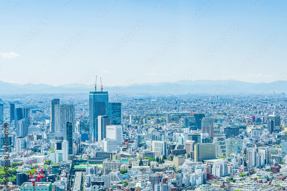 Obraz premium 春の東京風景 Tokyo city skyline , Japan