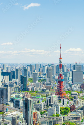                    Tokyo city skyline   Japan