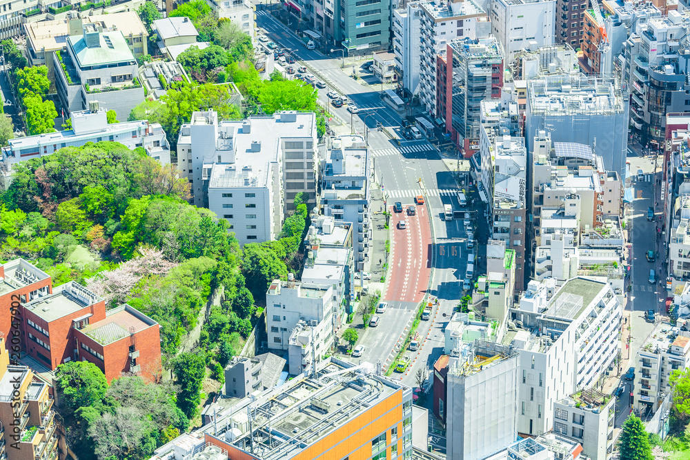 Naklejka premium 春の東京風景 Tokyo city skyline , Japan