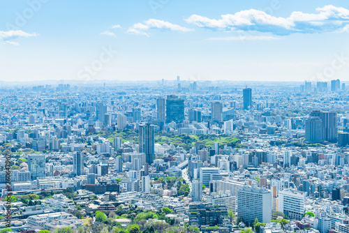                    Tokyo city skyline   Japan