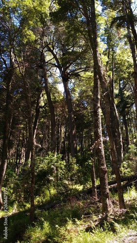 Parque Nahuel Huapi