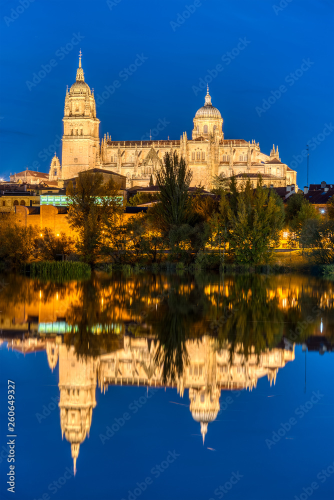 The Cathedral of Salamanca reflecting in the river Tormes at night