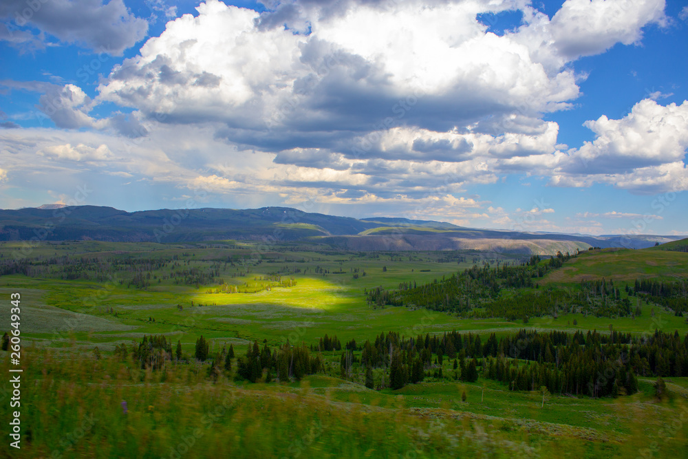 Grassland landscape Wyoming in Yellowstone National Park in summer green grass and cloudy sky