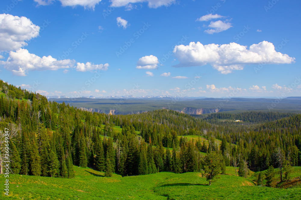 Landscape of Wyoming with mountain range in the back at Yellowstone National Park in summer