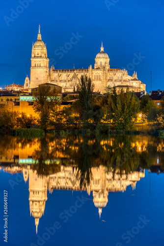 The Cathedral of Salamanca reflecting in the river Tormes at night © elxeneize