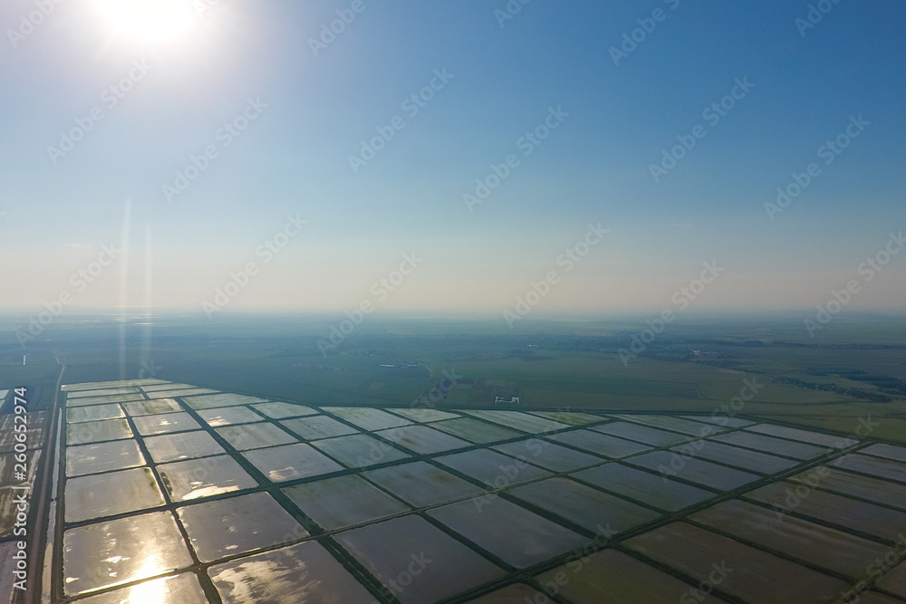 The rice fields are flooded with water. Landscape in front of the sun. Flooded rice paddies. Agronomic methods of growing rice in the fields. The rice fields are flooded with water. Landscape in front of the sun. Flooded rice paddies. Agronomic methods of growing rice in the fields.