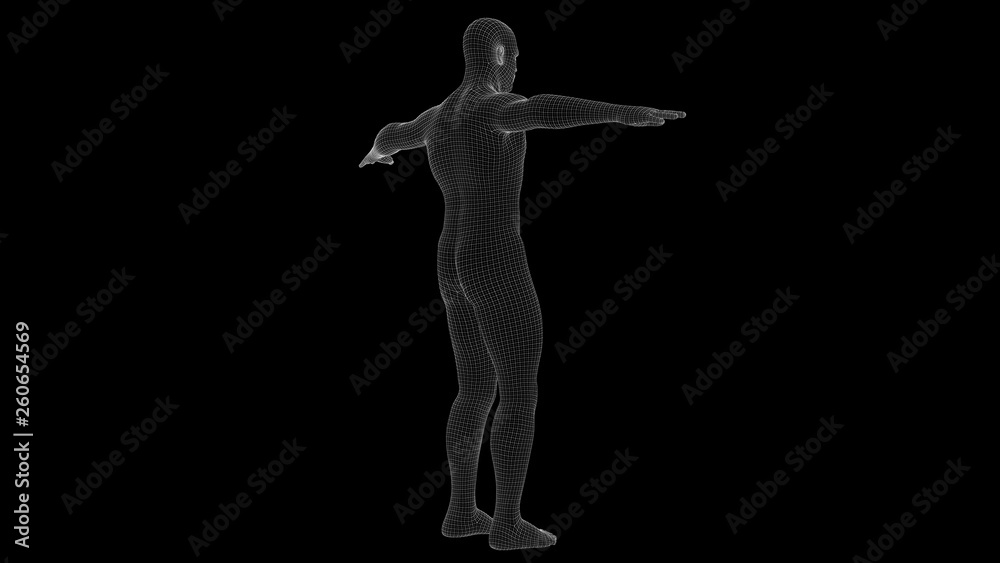 3d illustration of a man xray hologram