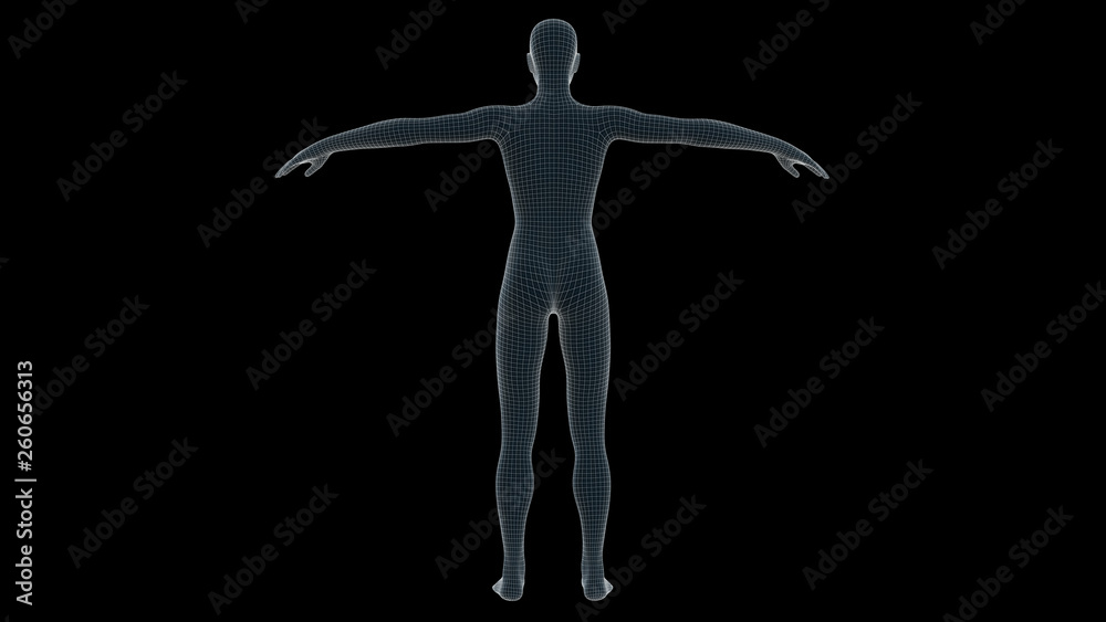 3d illustration of a woman xray hologram 3d illustration of a woman xray hologram