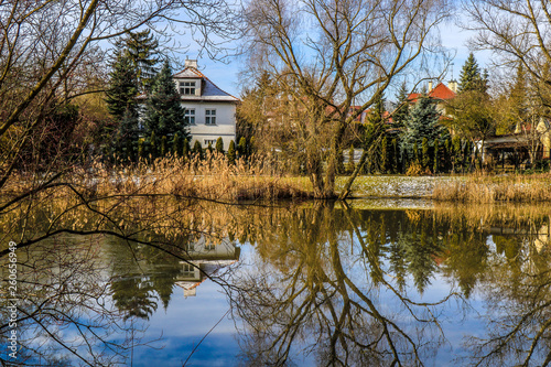 Reflective Landscape