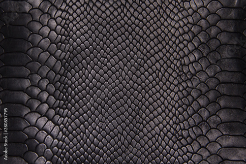 Canvas-taulu Background texture black leather reptiles