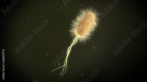 3D illustration of a escherichia coli bacteria