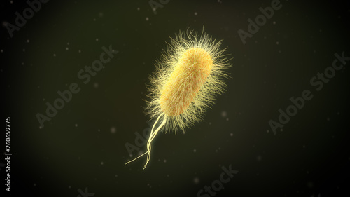 3D illustration of a escherichia coli bacteria photo