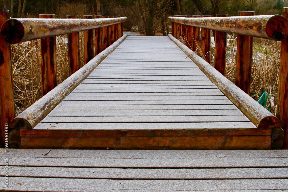 Fototapeta premium Wooden bridge in park symmetric