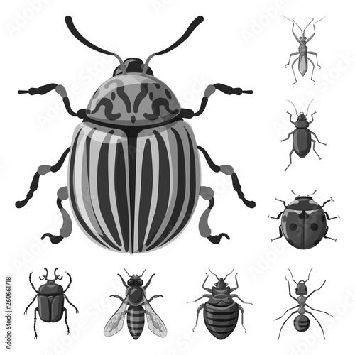 Vector illustration of insect and fly sign. Set of insect and element vector icon for stock. © Svitlana