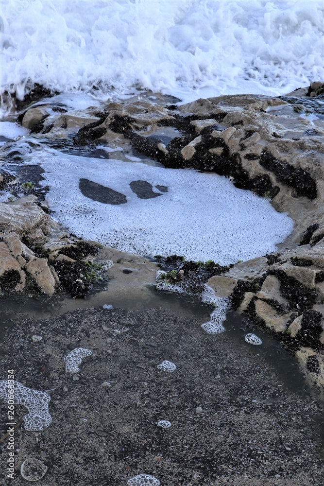 Obraz premium ささき浜（波打ち際）