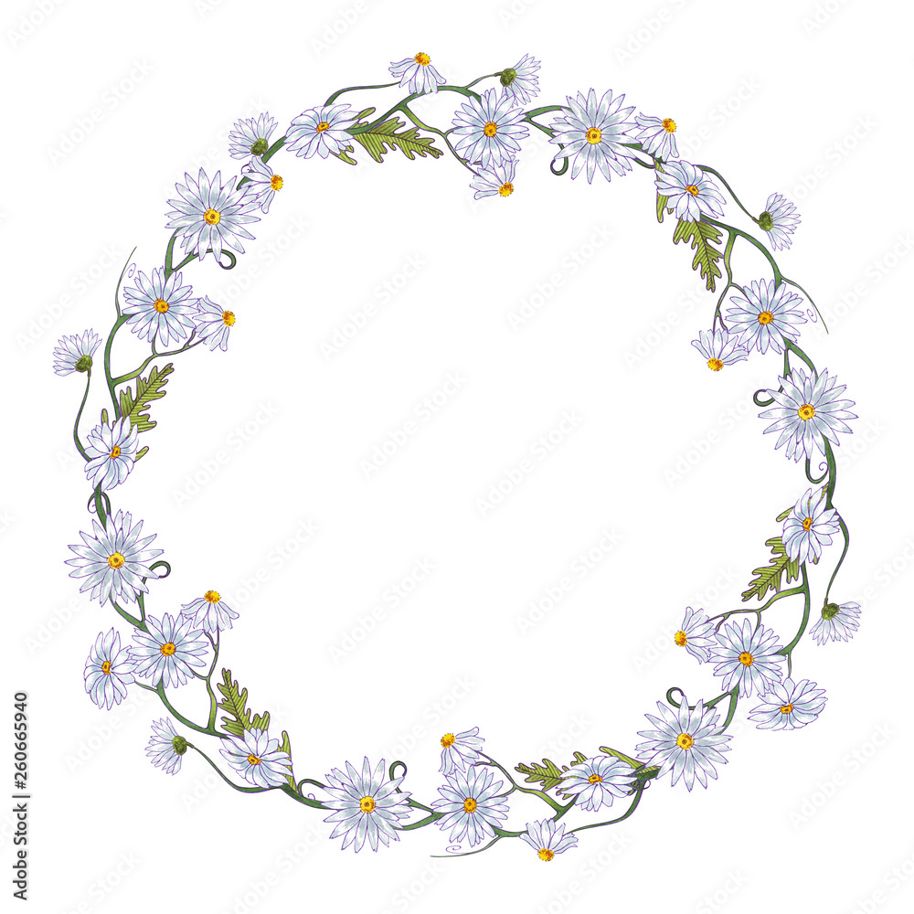 Watercolor flowers frame wreath. Springtime. Chamomiles and leaves. Healing Herbs for cards, wedding invitation, posters, save the date or greeting design. Isolated on white background.