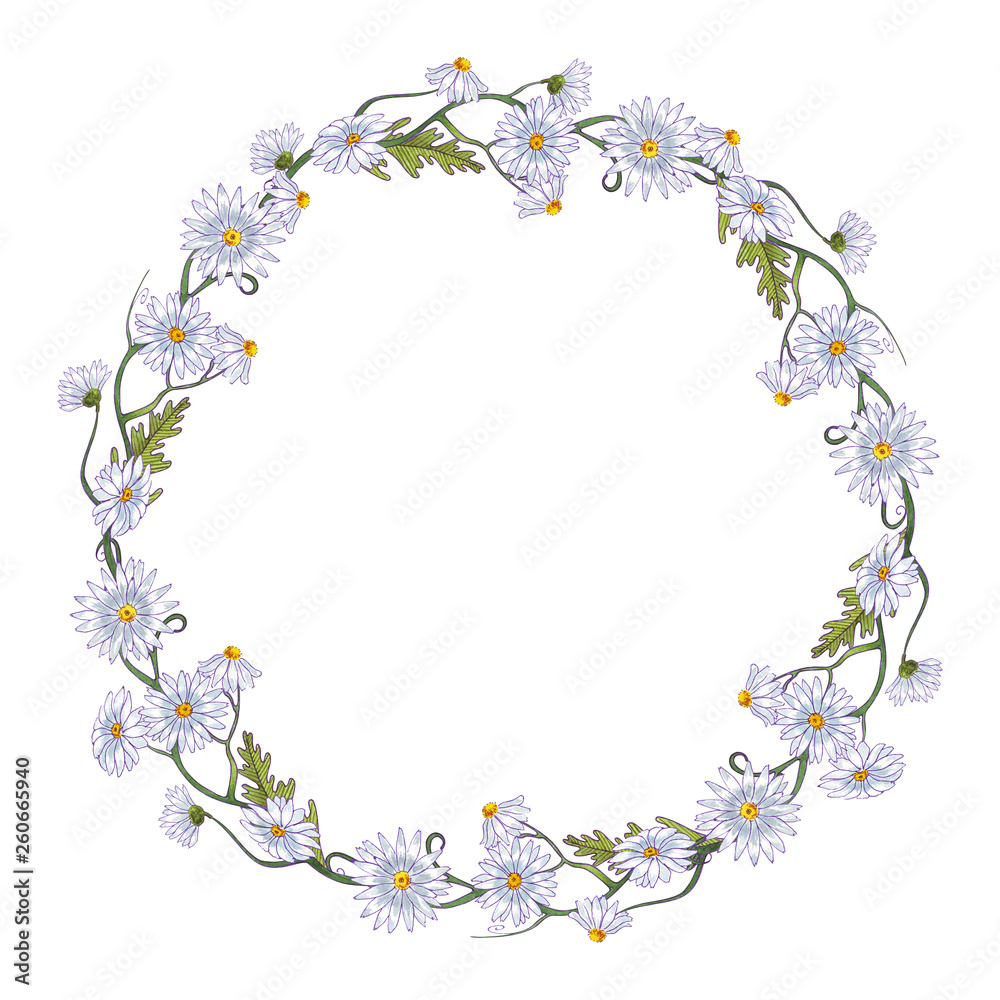 Watercolor flowers frame wreath. Springtime. Chamomiles and leaves. Healing Herbs for cards, wedding invitation, posters, save the date or greeting design. Isolated on white background. Watercolor flowers frame wreath. Springtime. Chamomiles and leaves. Healing Herbs for cards, wedding invitation, posters, save the date or greeting design. Isolated on white background.