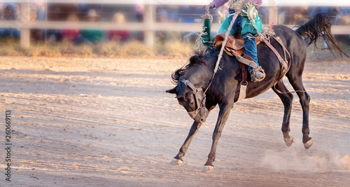 Bucking Horse Riding Rodeo Competition