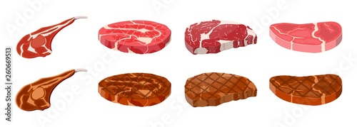 Collection of fried steaks. Beef tenderloin. Pork knuckle. Slice of steak, fresh meat. Uncooked pork chop. Vector illustration in flat style