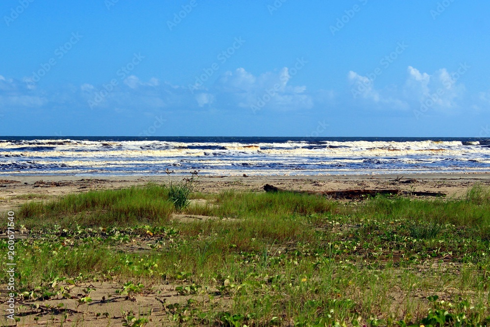 Landscape of Barra do Una beach, located at Juréia-Itatins Ecological Station, Peruíbe, São Paulo, Brazil. Landscape of Barra do Una beach, located at Juréia-Itatins Ecological Station, Peruíbe, São Paulo, Brazil.