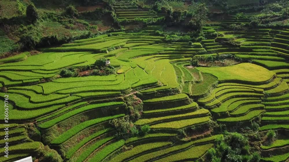 Aerial pan, traditional rice terraces of Vietnam, beautiful traditional architecture