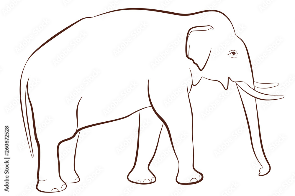 Elephant in outline style isolated on white background, coloring page for children, vector illustration of male elephant