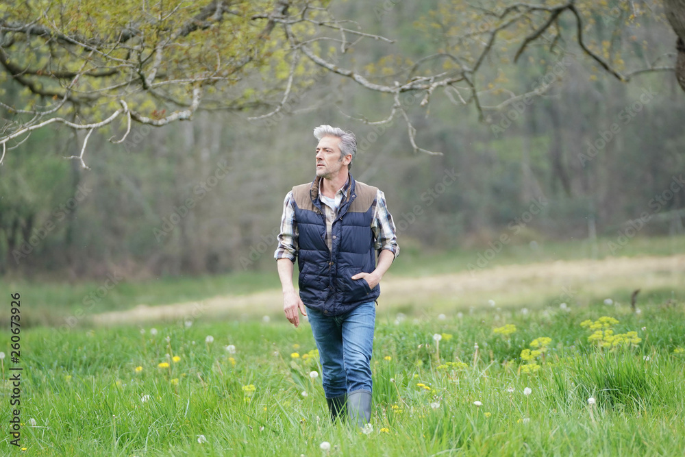 Mature man walking in countryside Mature man walking in countryside