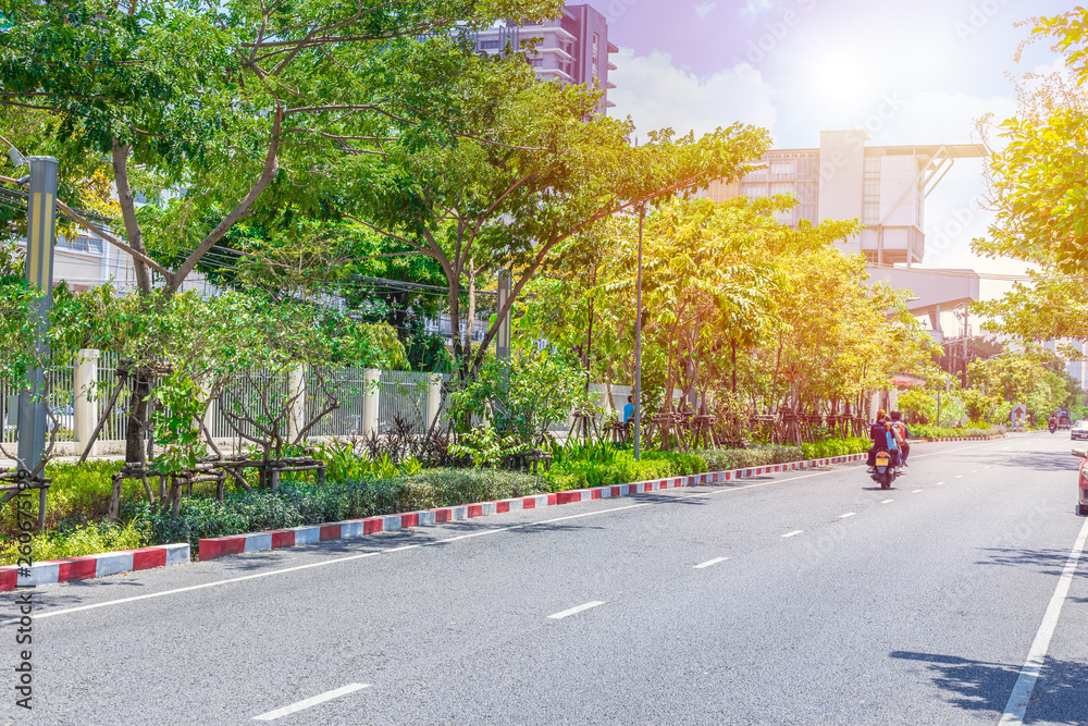 clean new road with tree green city concept.